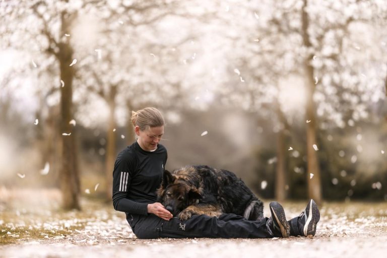 Einzeltraining Hundeschule Willich